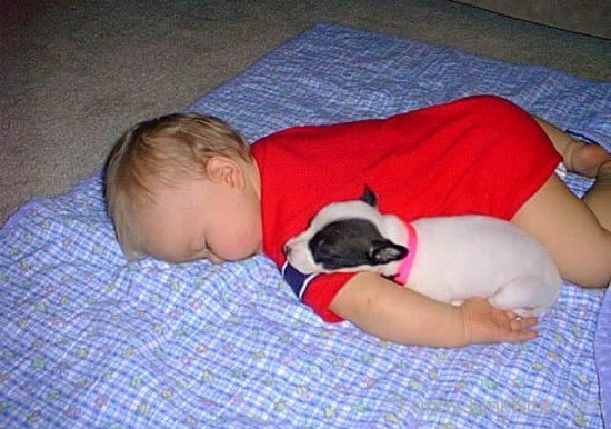 Funny Dog Sleeping With Kid