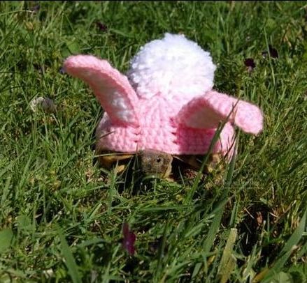 I Am Feeling Awesome