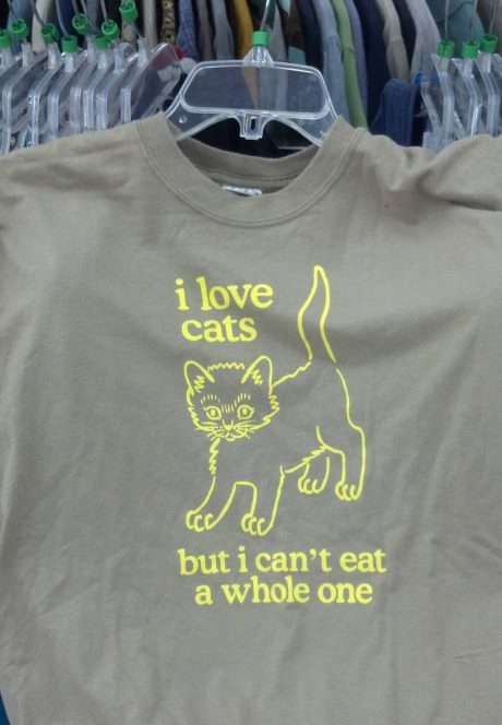 I Love Cats