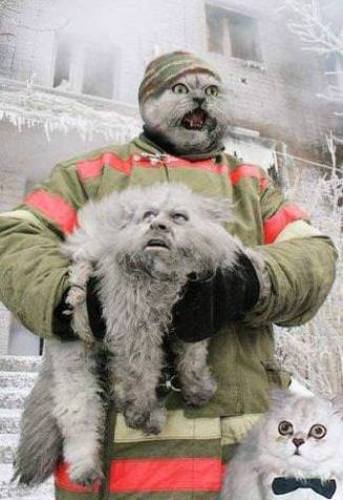 Photoshop I Love You