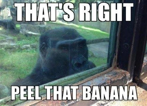 Thats Right Peel That Banana