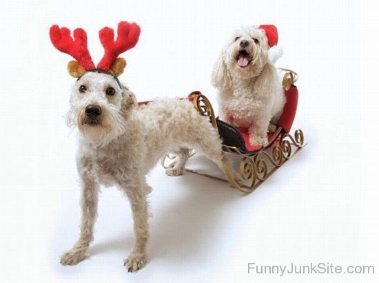 We Are Late For Christmas Party