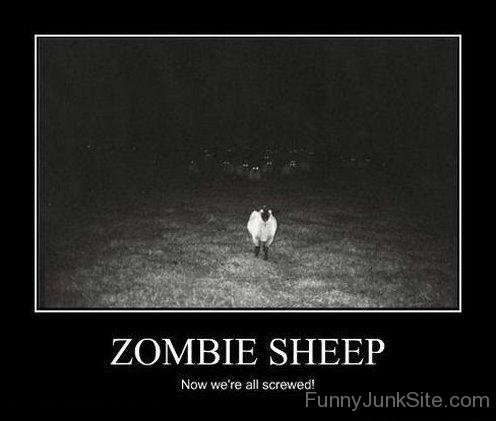 Zombie Sheep