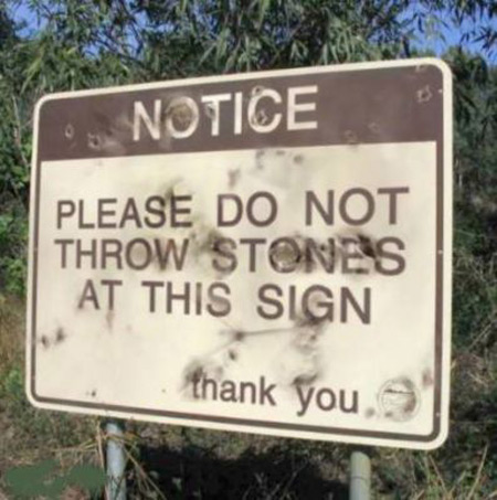 Please don't throw stones