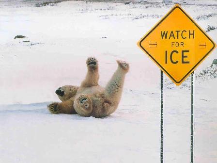 Watch for Ice