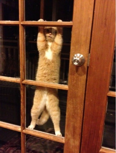 I Am Not Climbing,M Locked