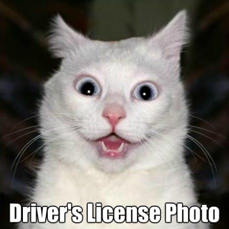 Driver's License Photo