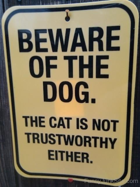 Beware Of Dog