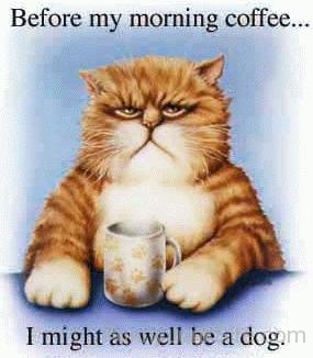 Cat Coffee