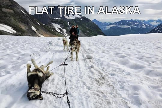 Flat Tire In Alaska