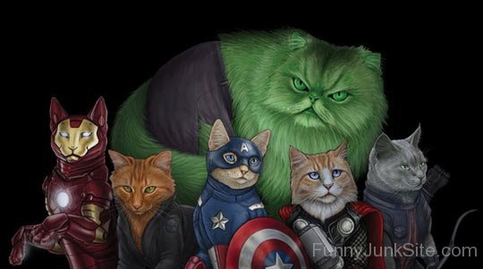 Funny Cat Avengers