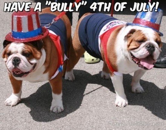 Funny Dogs 4th Of July