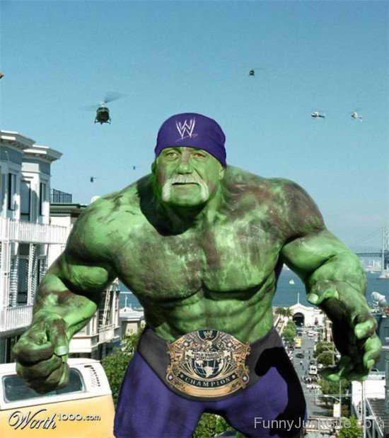 I Am Hulk