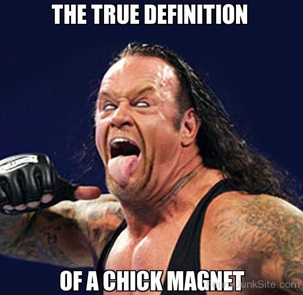 Funny WWE Pictures The True Definition