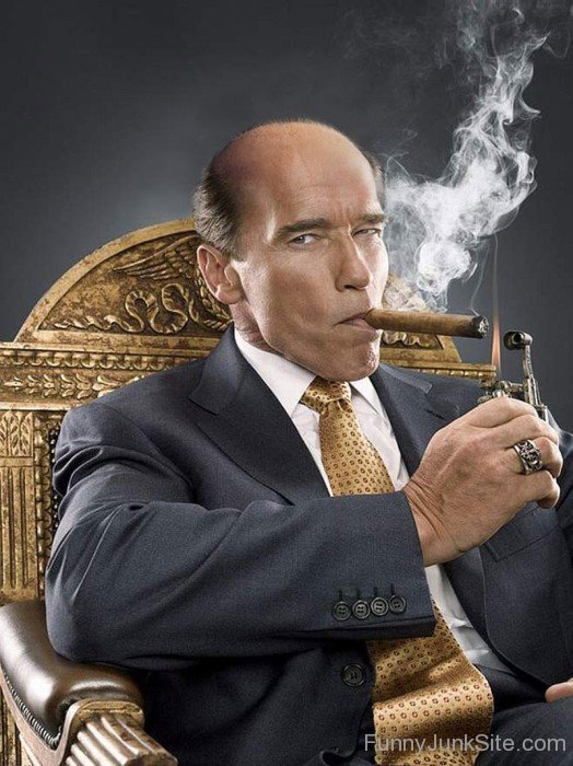 Arnold Schwarzenegger Gangster