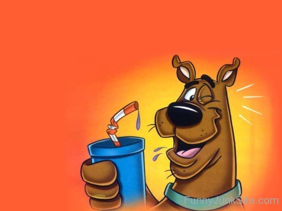 Scooby Doo Fun