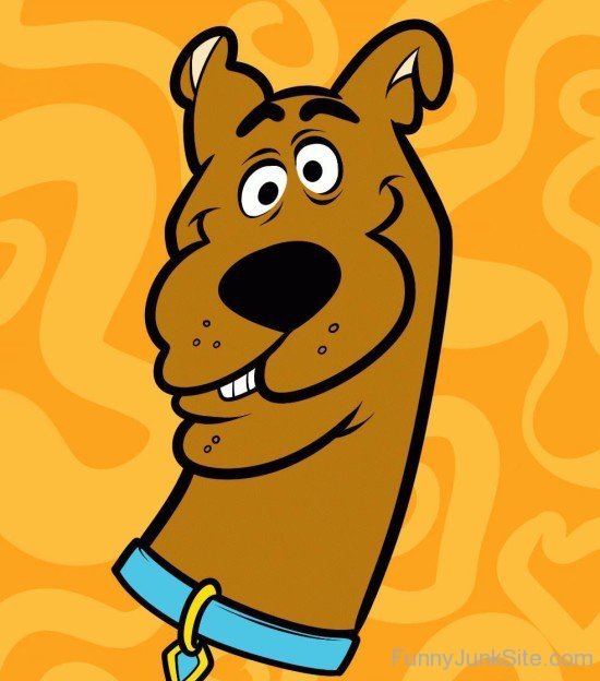 Scooby Doo Funny Face