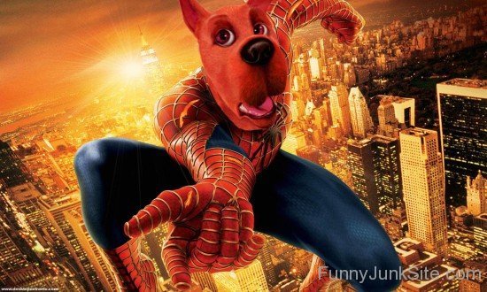 Spidey Scooby Doo