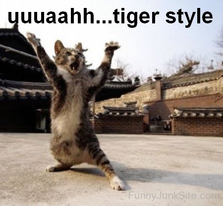 Tiger Style