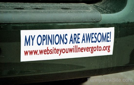 My Opinions Are Awesome