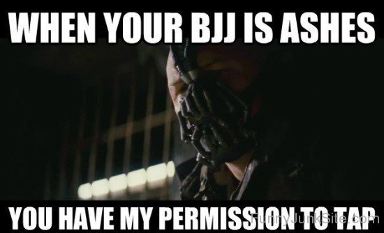 When Your Bjj Is Ashes