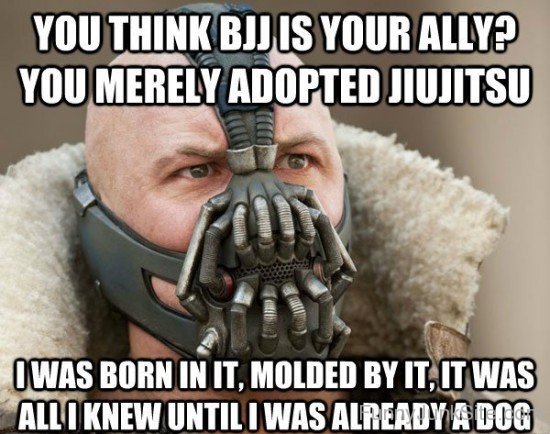 You Think Bjj Is Your Ally