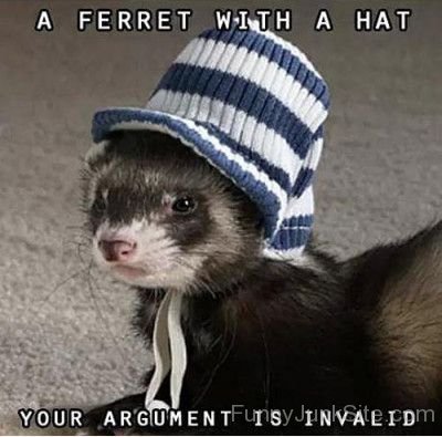 A Ferret With A Hat-xyz202