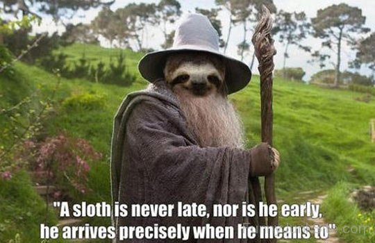 A Sloth Is Never Late-tyu501