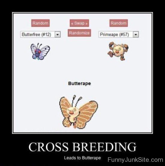 Cross Breeding-juy6037