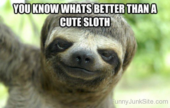 Cute Sloth-tyu504