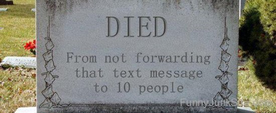 Died From Not Forwarding-vew303