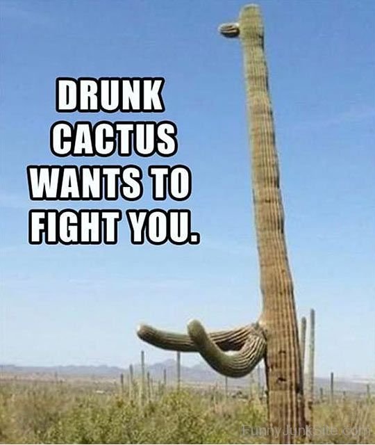 Drunk Cactus-ufc905