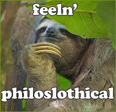 Feeling Philoslothical-tyu505