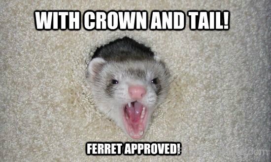 Ferret Approved-xyz205