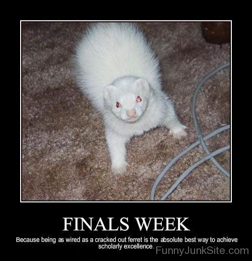 Finals Week-xyz207