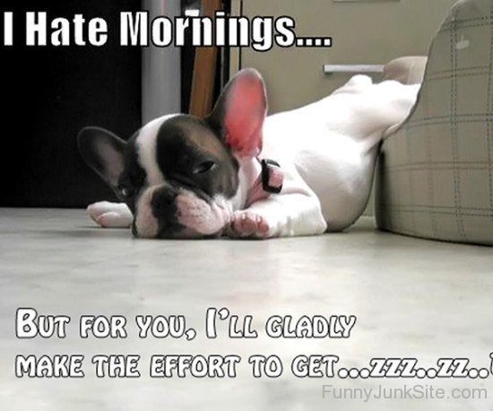 I Hate Mornings-hjuy6037