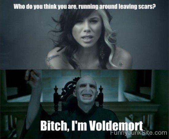 I'm Voldemort-fvt423