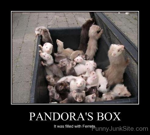 Pandora's Box-xyz215