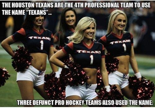 The Houston Texans-rgb520