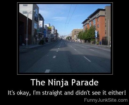 The Ninja Parade-juy6157