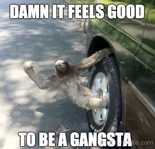 To Be A Gangsta-tyu521