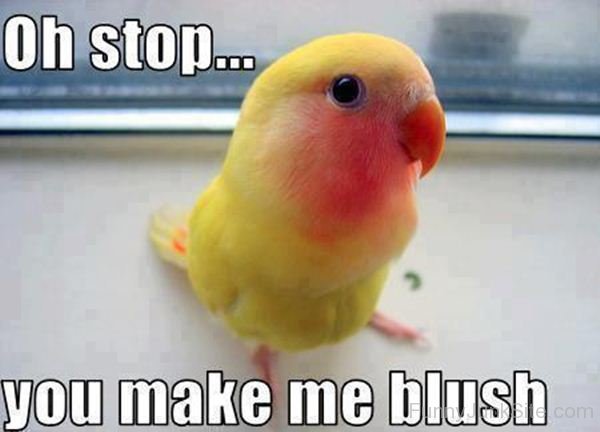 Funny Captions Pictures You Make Me Blush