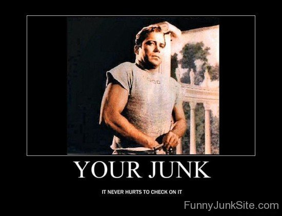 Your Junk-juy6187