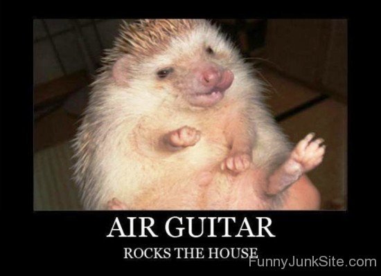 Air Guitar Rocks The House-fd501
