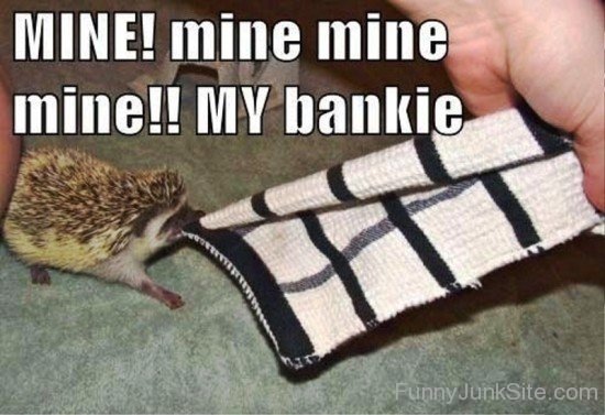 Mine Mine My Bankie-fd516