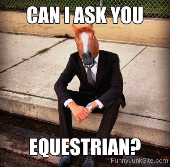 Can I Ask You Equestrian-ab803