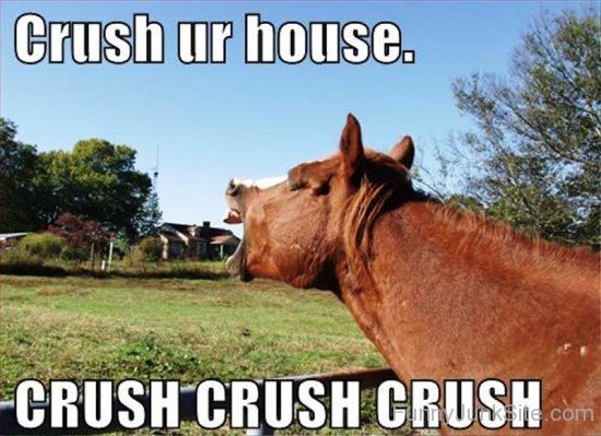 Crush Your House-ab805