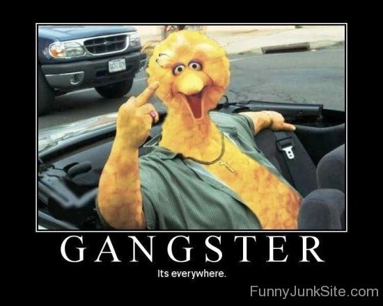 Gangster It's Everywhere-wm420