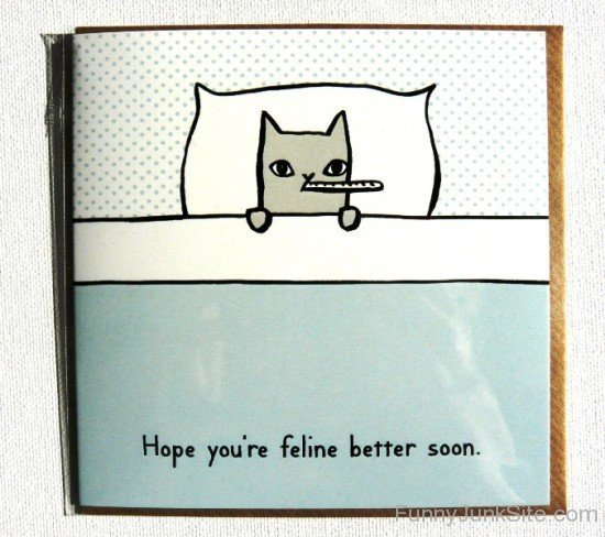 Hope You're Feline Better Soon-ez218