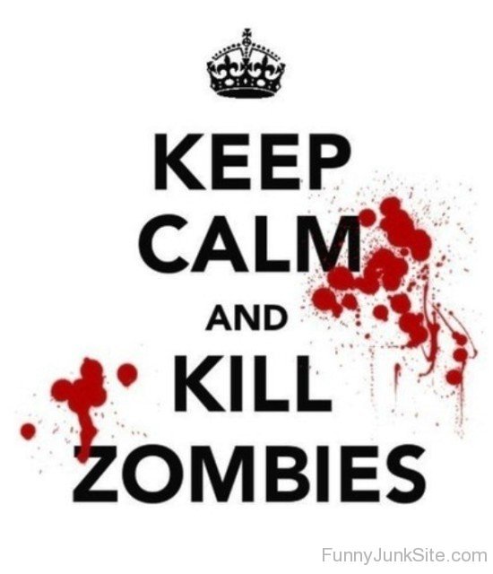 Keep Calm And Kill Zombies-bt936CX S